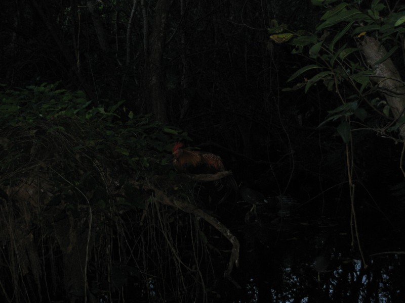 Dominican Republic 141.jpg